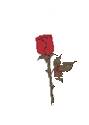 2rosecro.gif (3608 bytes)